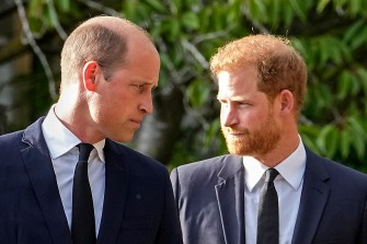 prince william and prince harry looking at each other