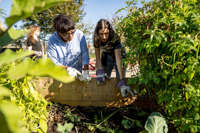 two people kneeling in front of a garden