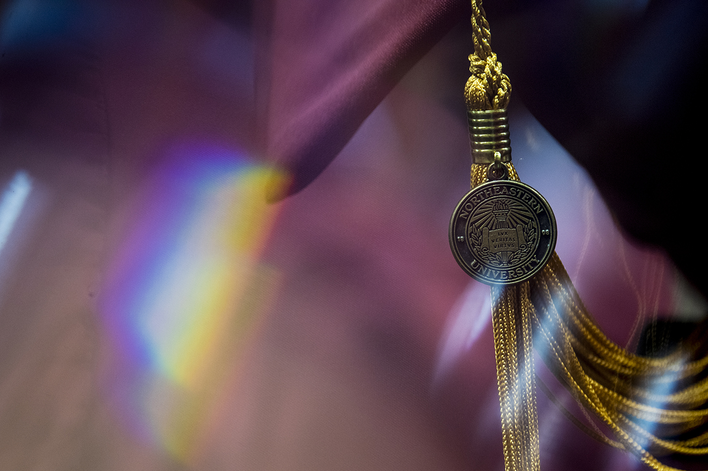 tassel on a graduation cap