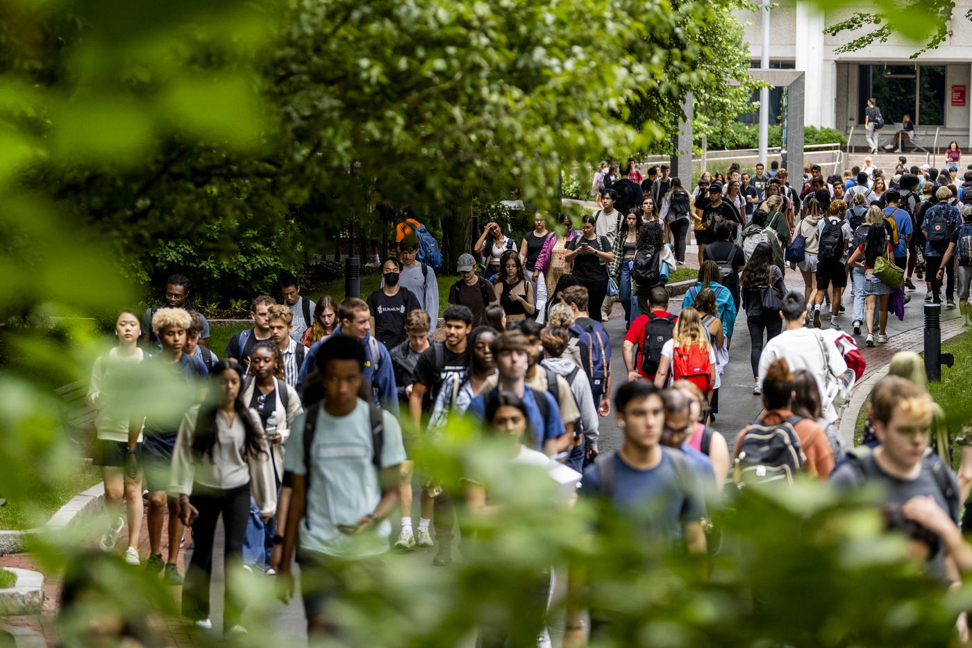 Students walking on campus