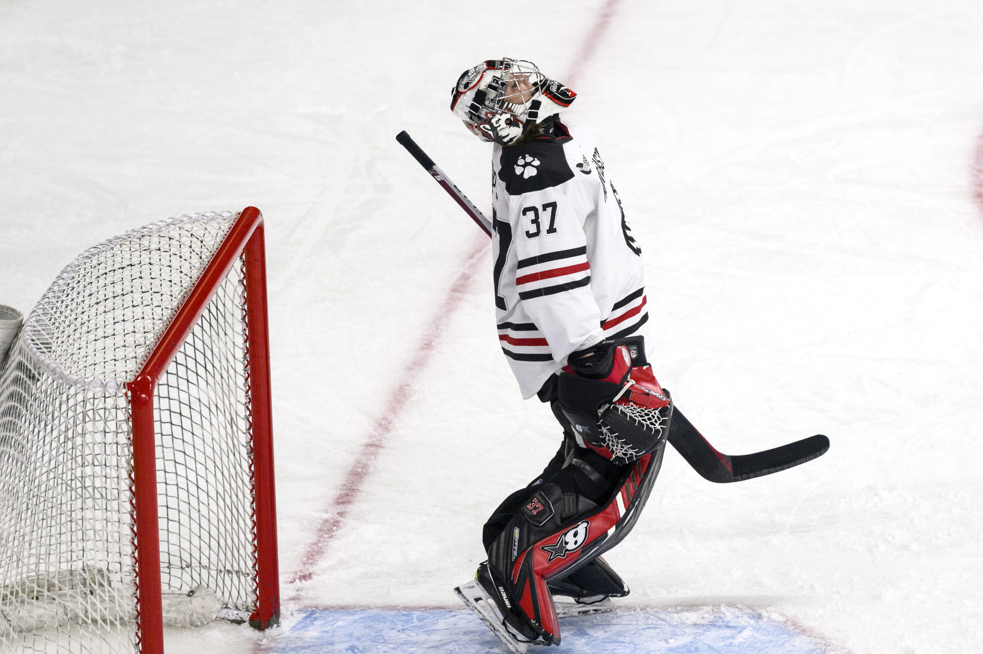 northeastern womens hockey goalkeeper leans back in relief