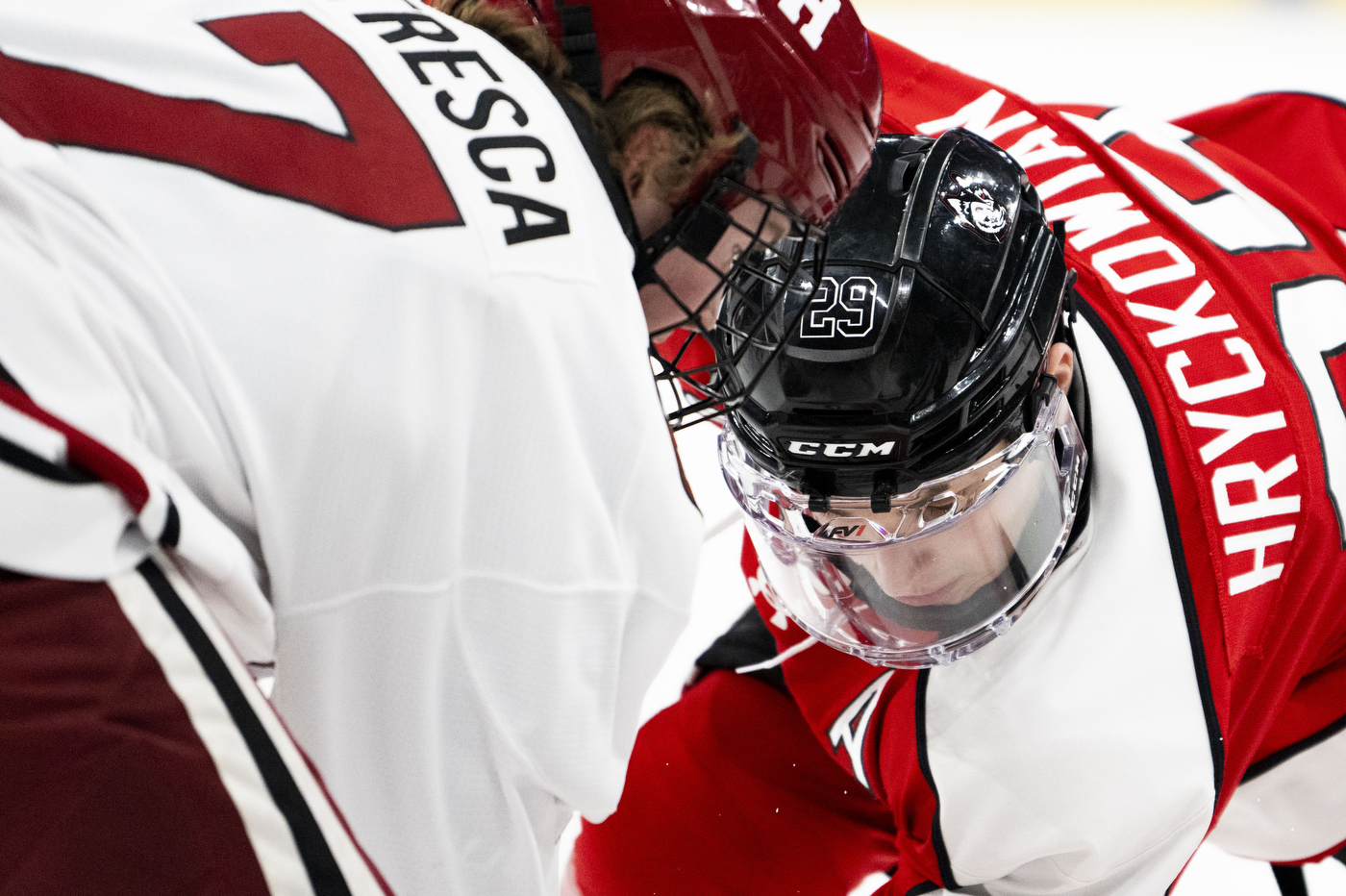 northeastern and harvard hockey players facing off