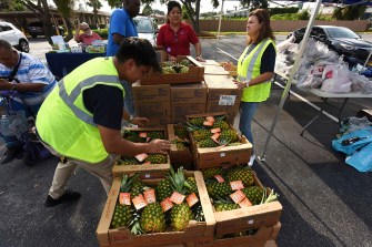 Volunteers sort food in boxes