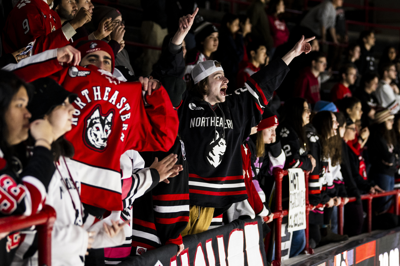 Fans cheer from the stands