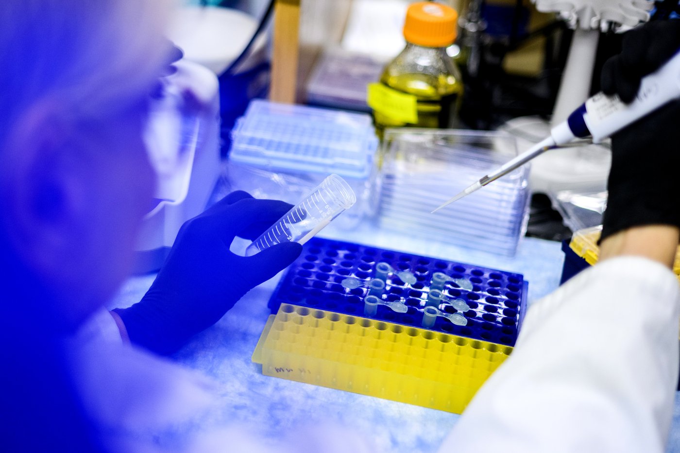 Barbara Waszczak conducting research in a lab