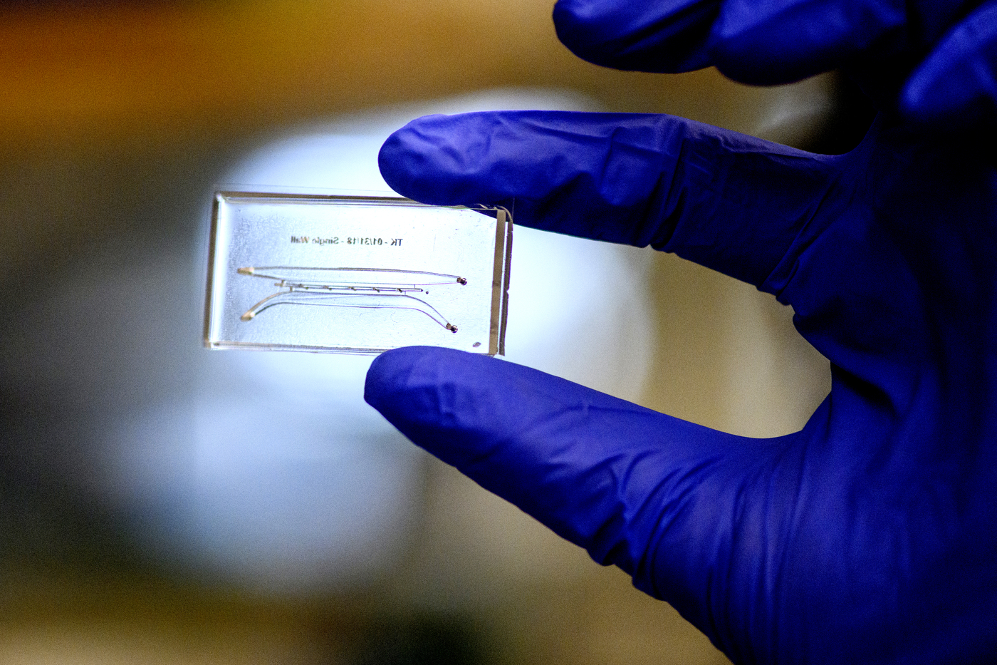 Lab samples in a small glass case