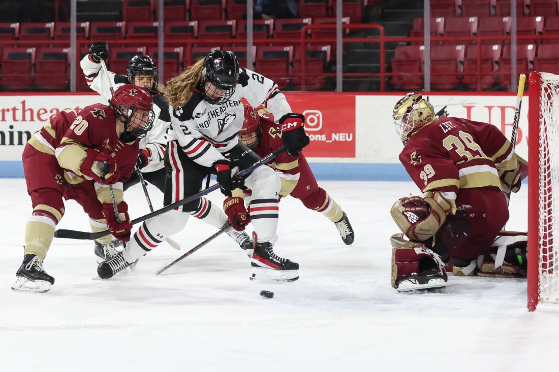 womens hockey players battling for the puck