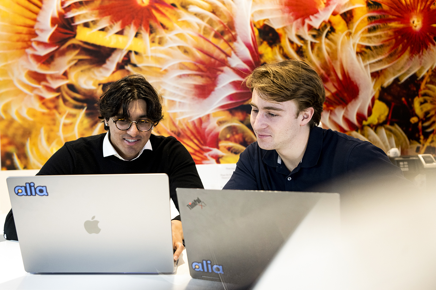 Shaan Arora and Cory Gill working side by side on their laptops