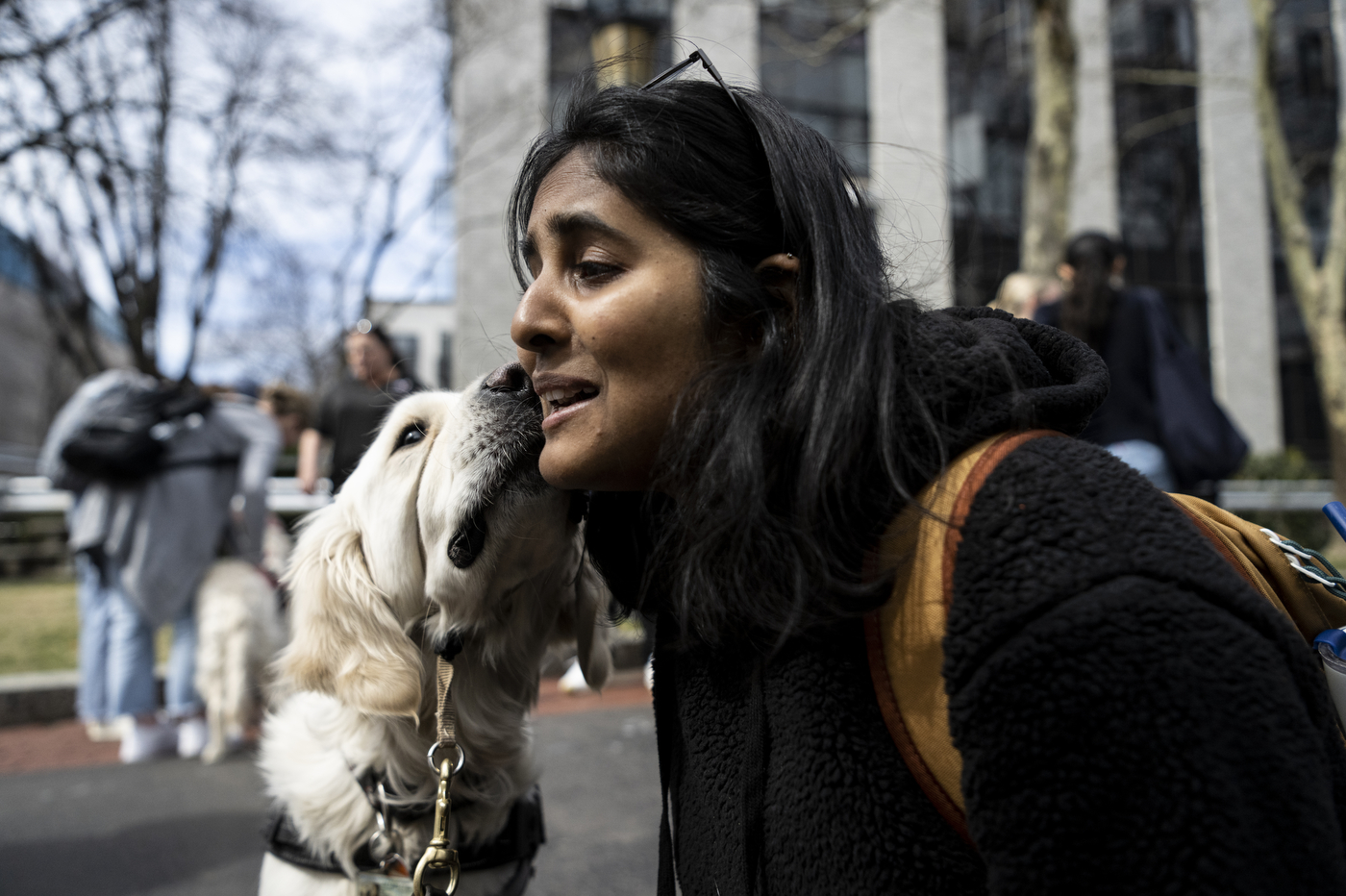 Cooper booping a student's face with his nose