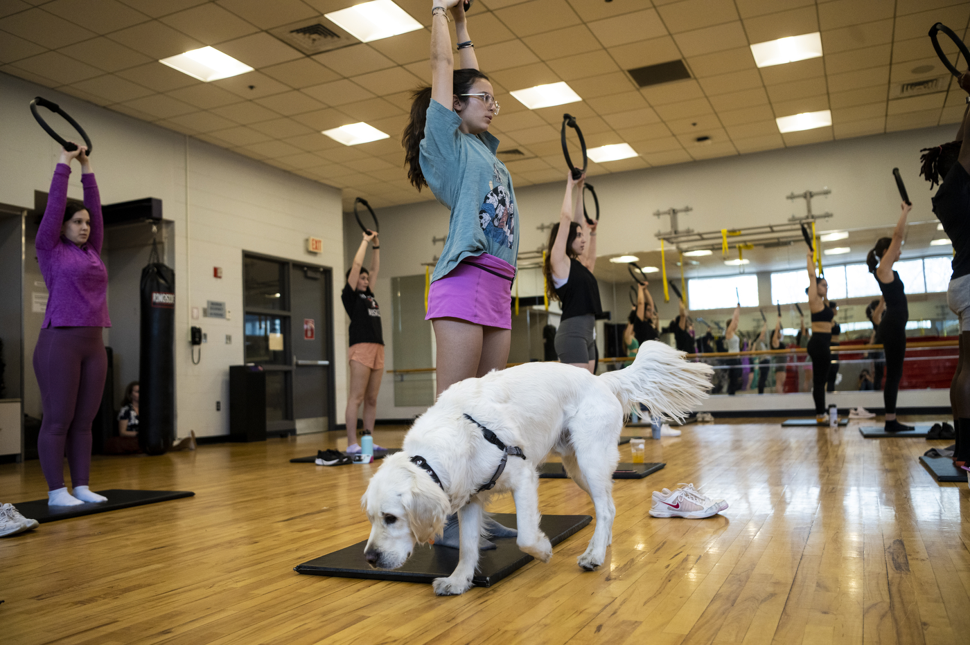 Cooper walking around a pilates class