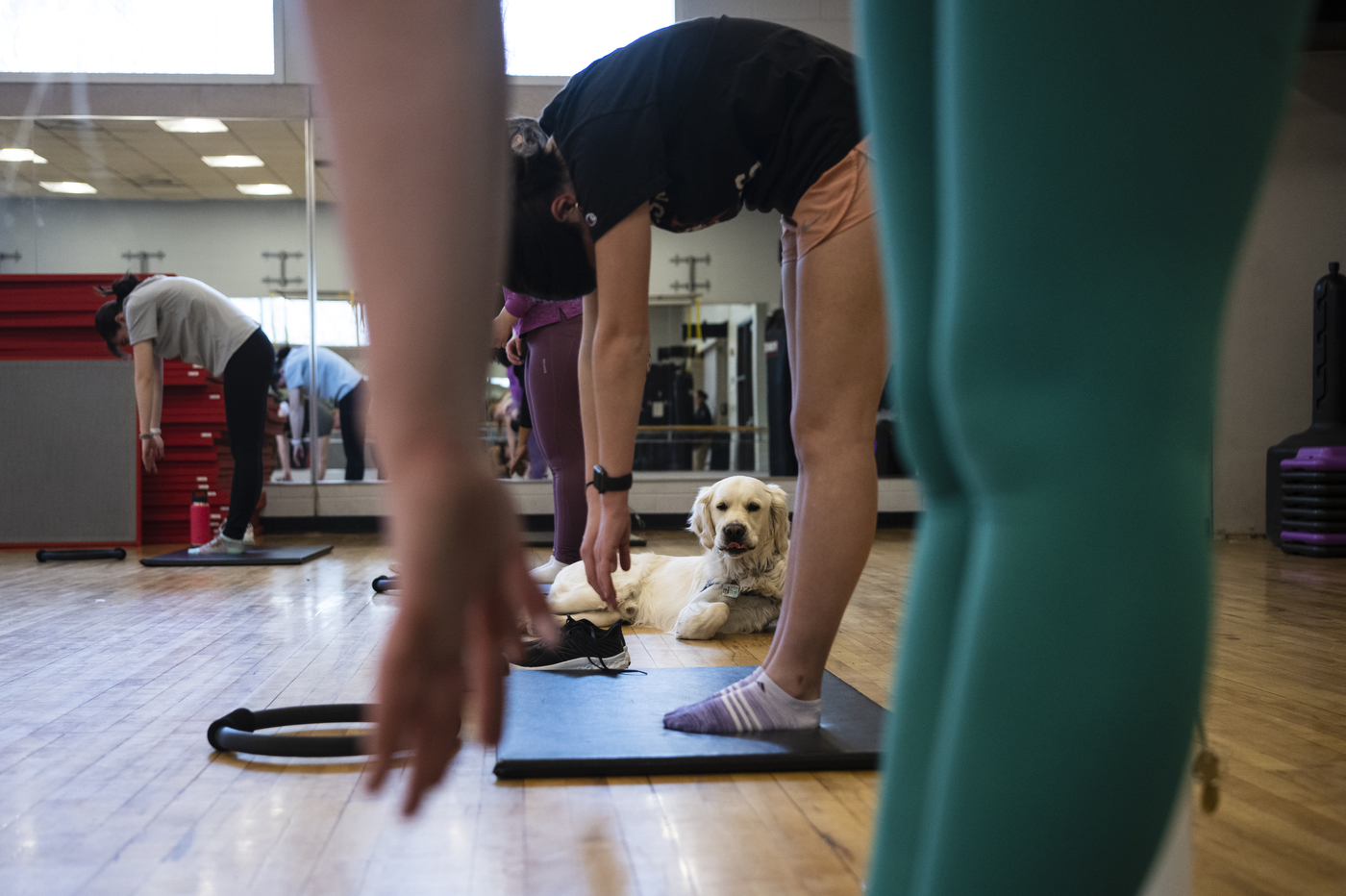 Cooper sitting in a pilates class