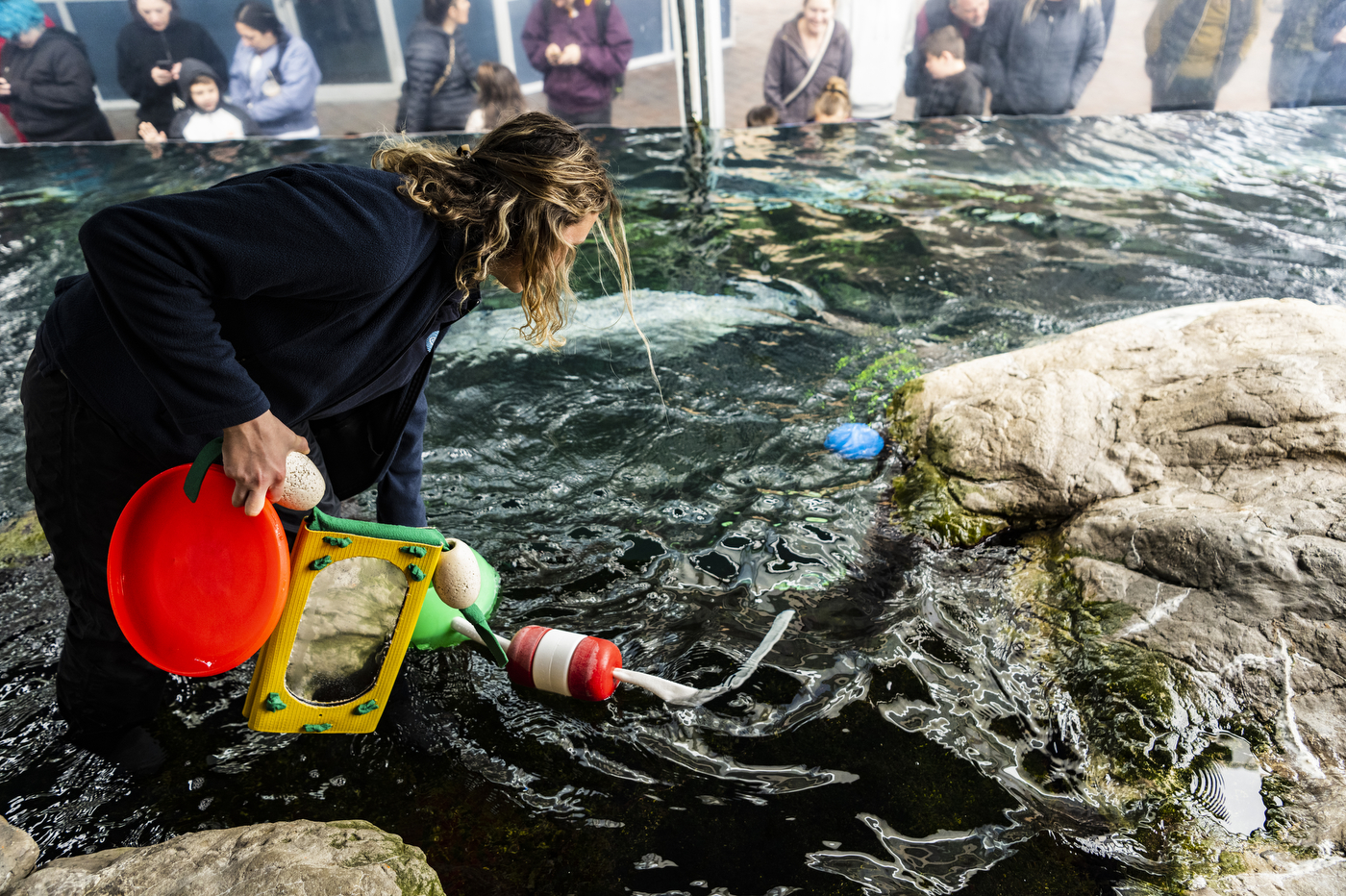 Isabella Welch in a New England Aquarium tank