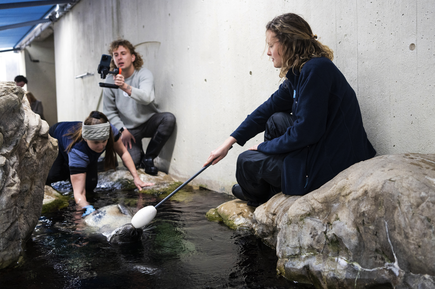 Isabella Welch performing activities with harbor seals