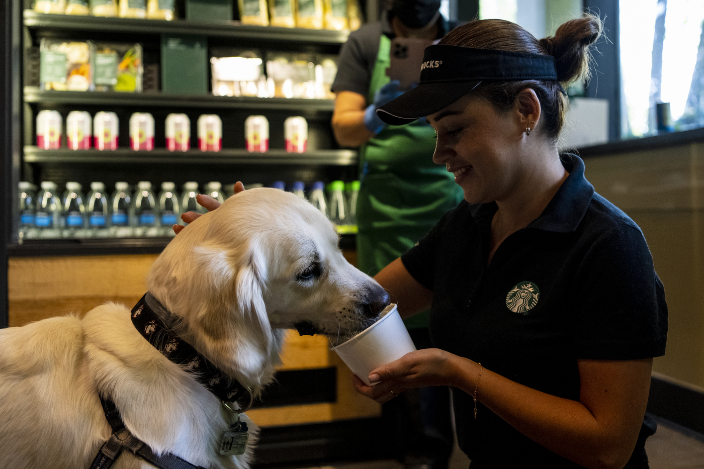 Cooper enjoying a pup cup from starbucks