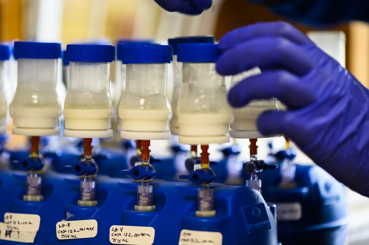 gloved hand reaching for a lab sample