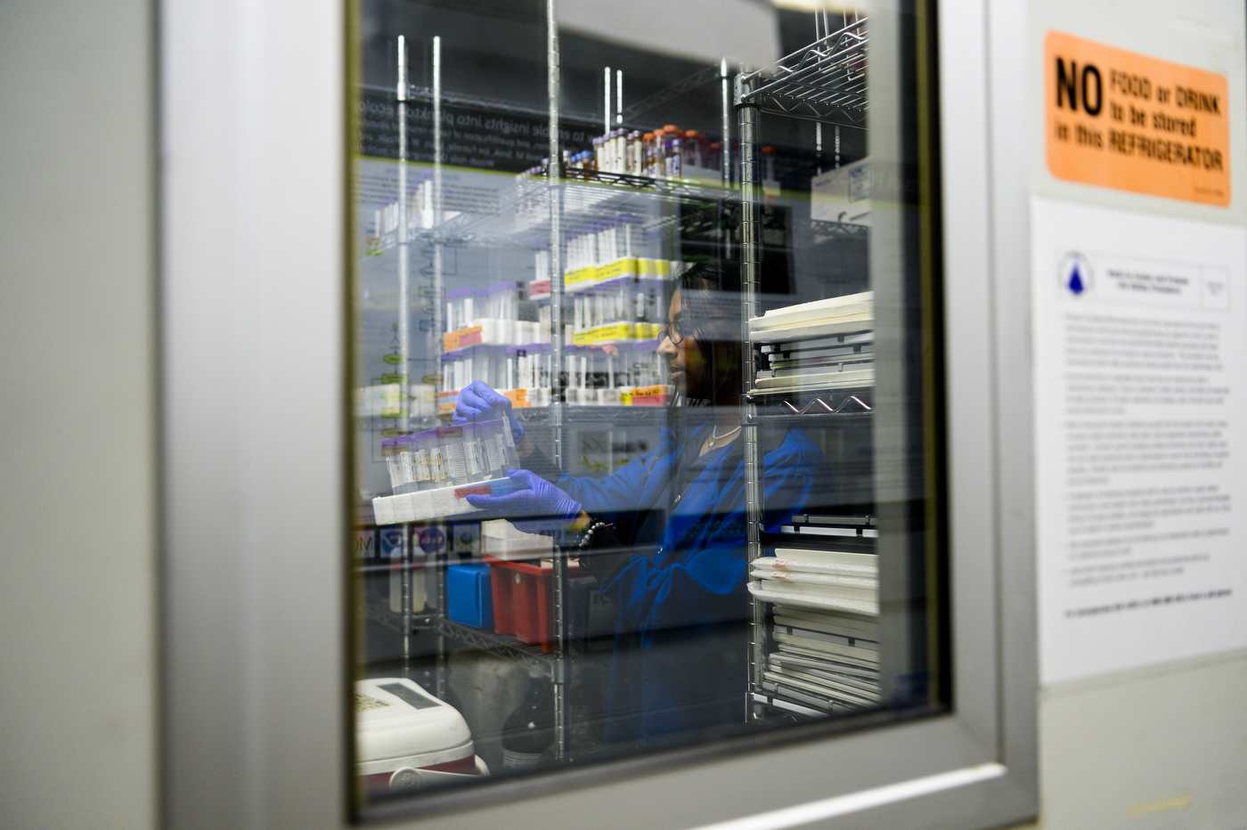 Anushka Rajagopalan working in the lab