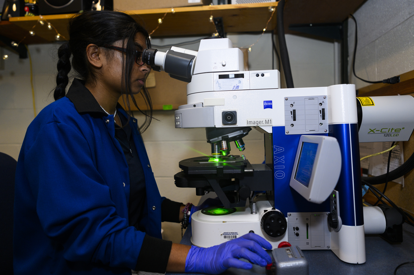 Anushka Rajagopalan looking into a microscope