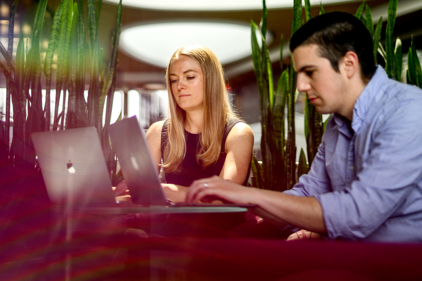 Kate Duffy and Thomas Vandal working on their laptops