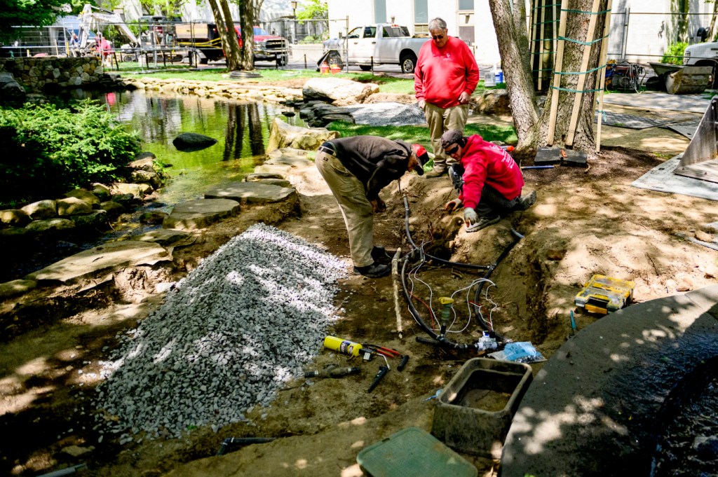 construction workers working on the koi pond renovation