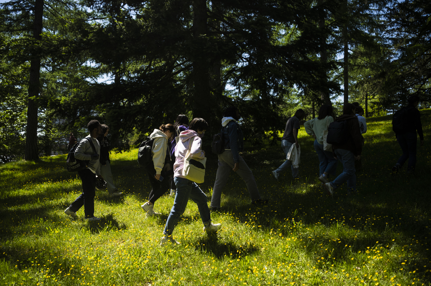 students walking through Arnold Arboretum