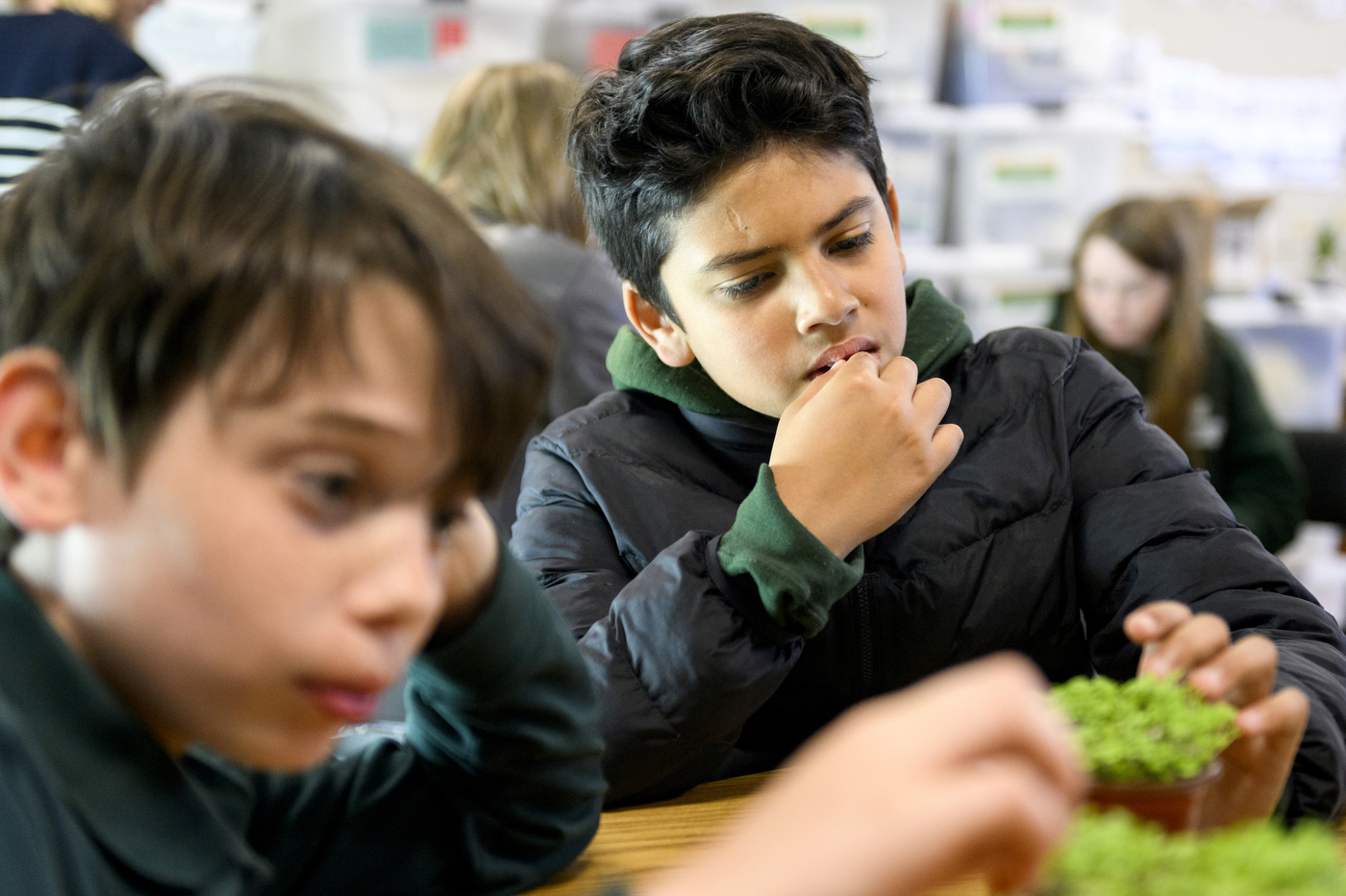 students working with microgreens