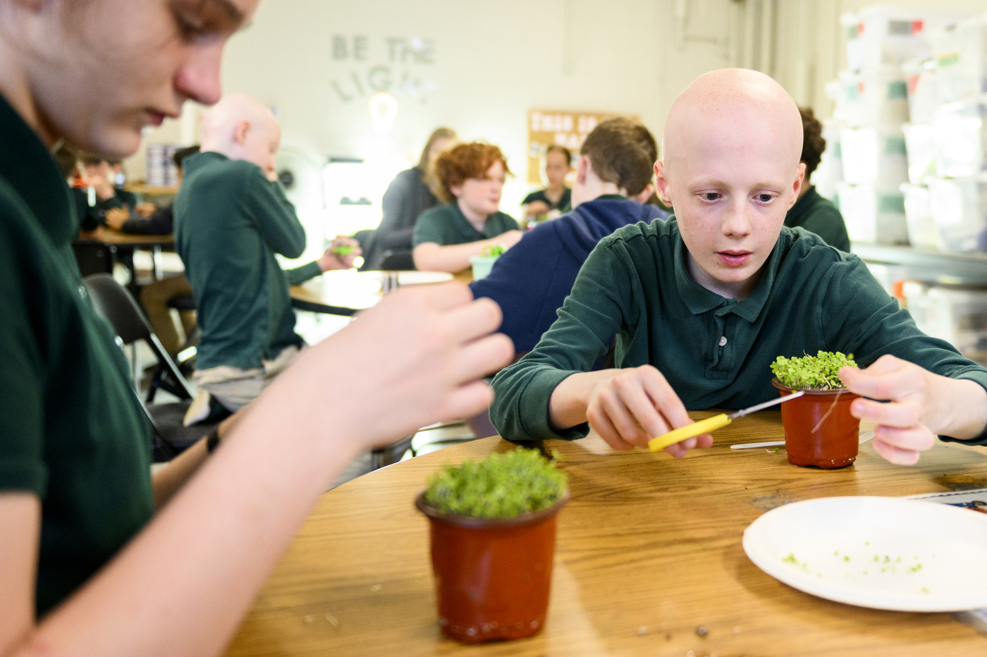 students working with microgreens