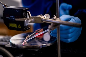 person working with collagen in the lab