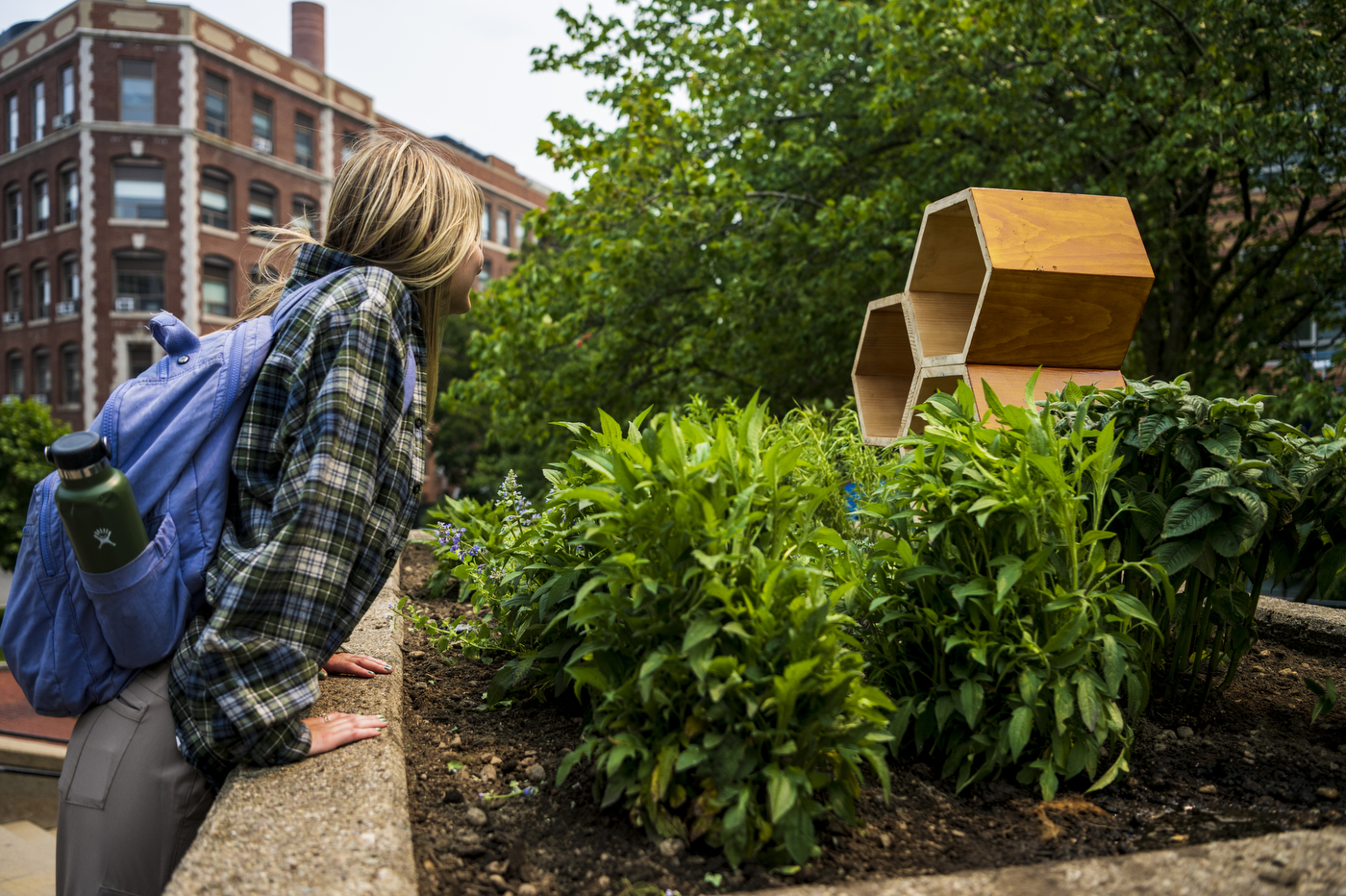 Madison Rosen examining a bee hotel