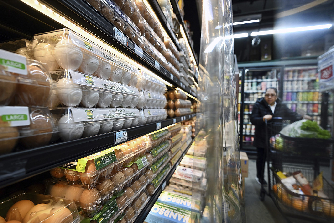 rows of eggs at a supermarket