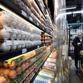 rows of eggs at a supermarket