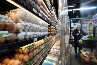 rows of eggs at a supermarket