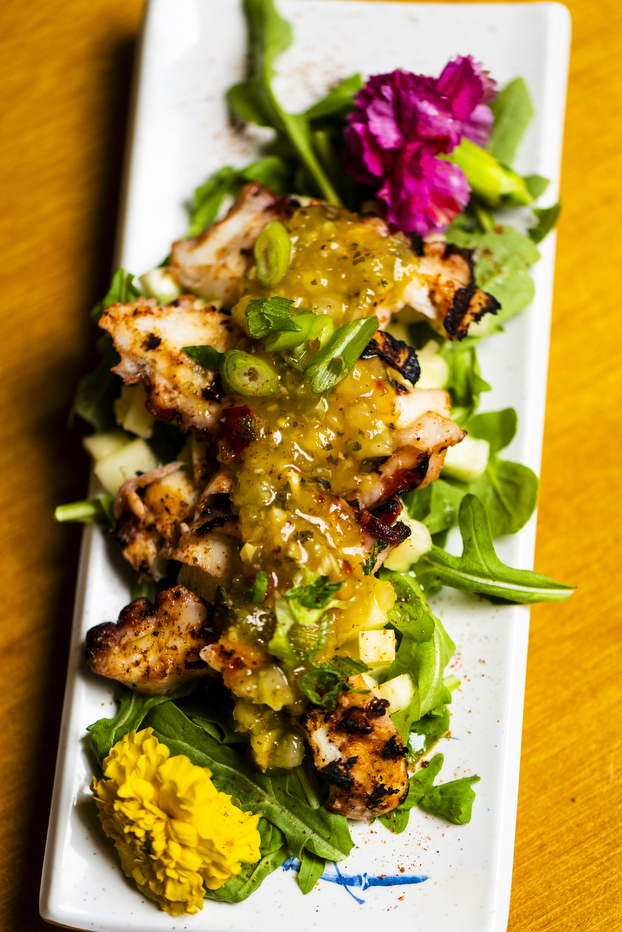 plate of grilled meat with sauce and sliced green onions on top