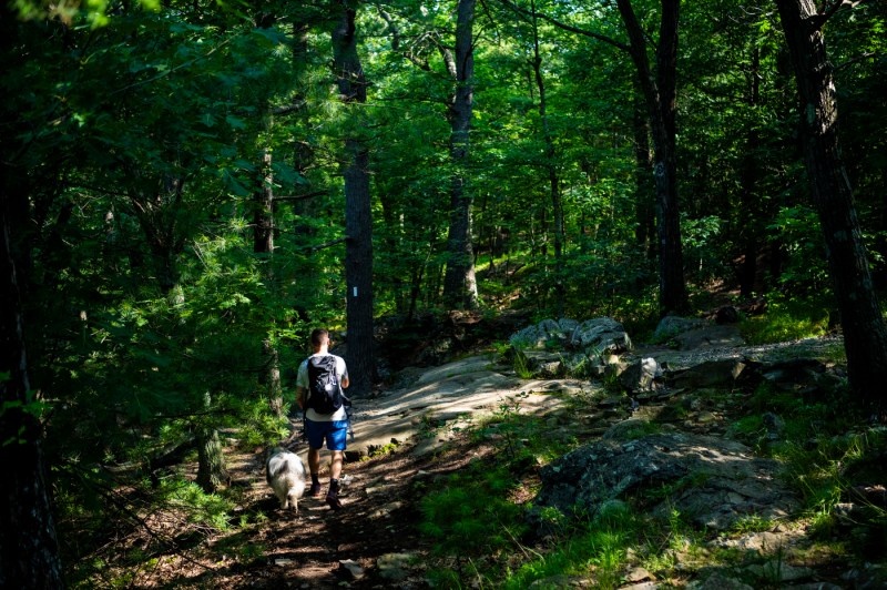 David Fatula hiking in Middlesex Fells