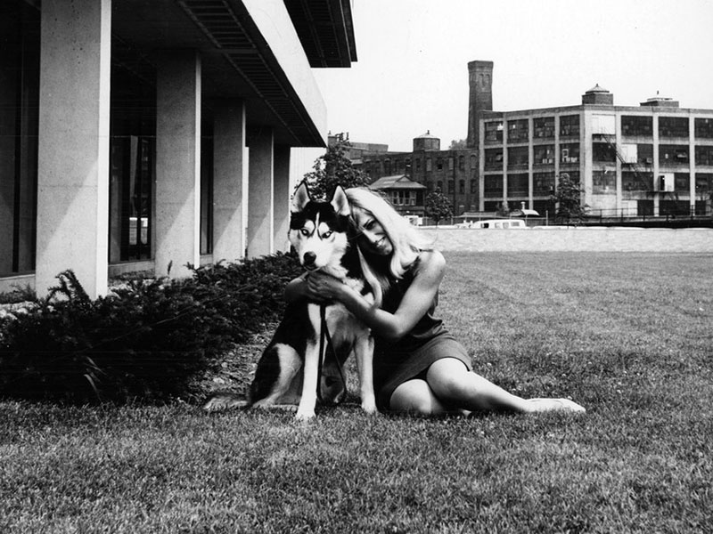 king husky poses next to a female student