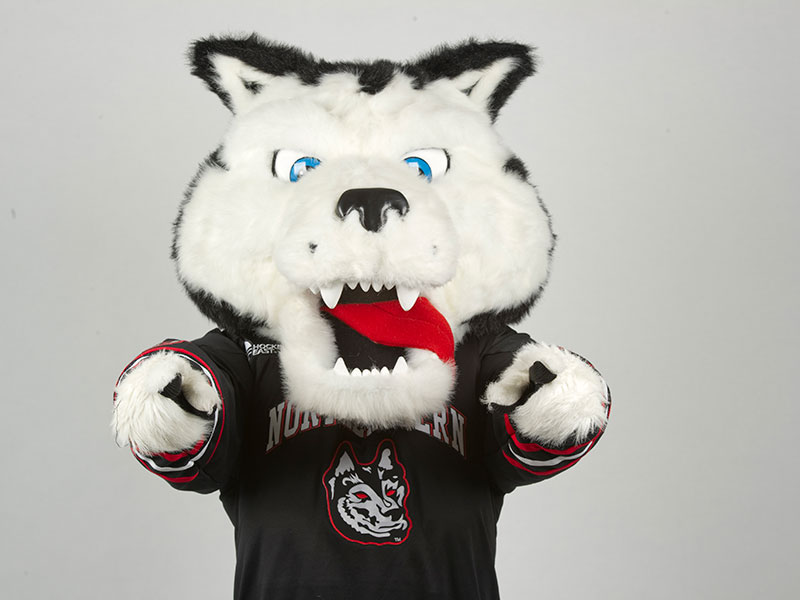 king husky mascot