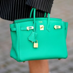 person holding a turquoise Birkin handbag