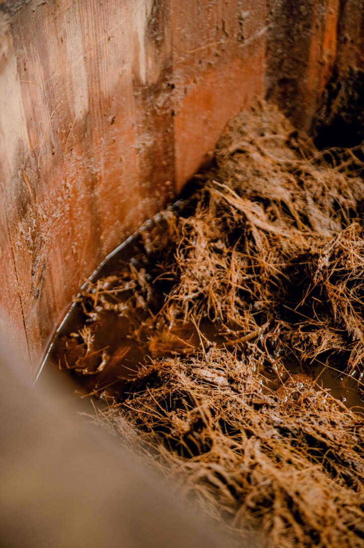 mezcal fermenting