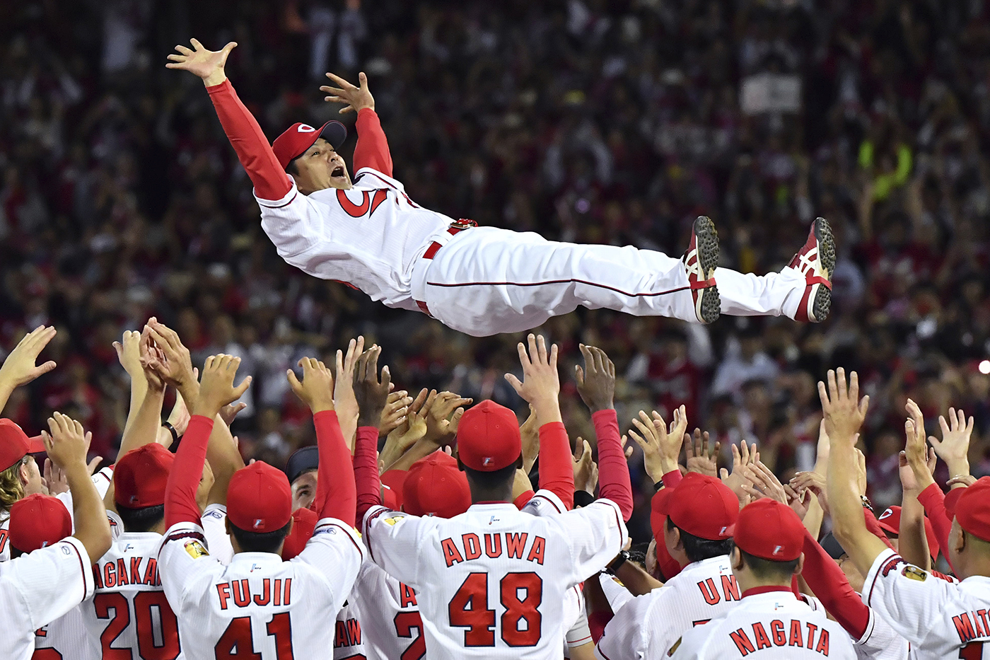 Hiroshima Toyo Carp members tossing their manager into the air