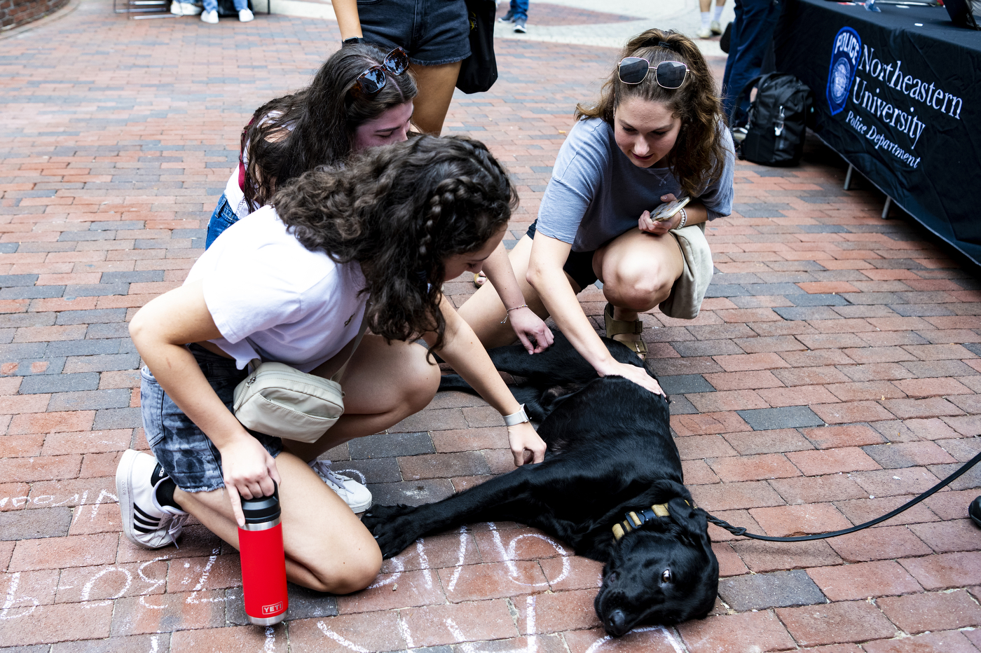 students petting Sarge while he lays on the ground