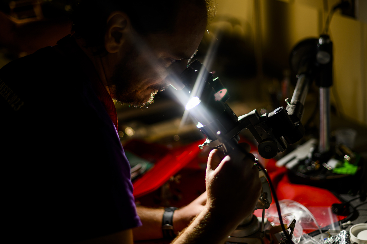 Srinivas Sridhar looks into a microscope.