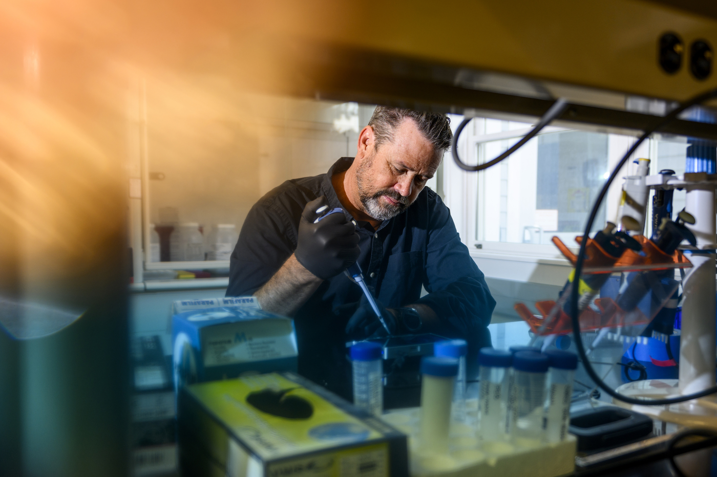 Steven Vollmer working on corals on lab.