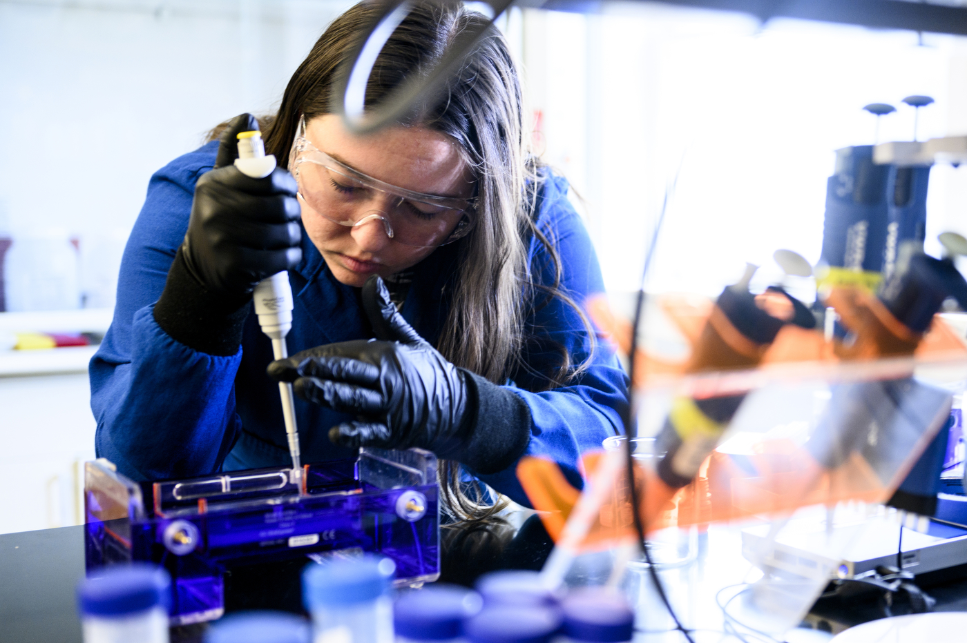 Scientist working with corals. 