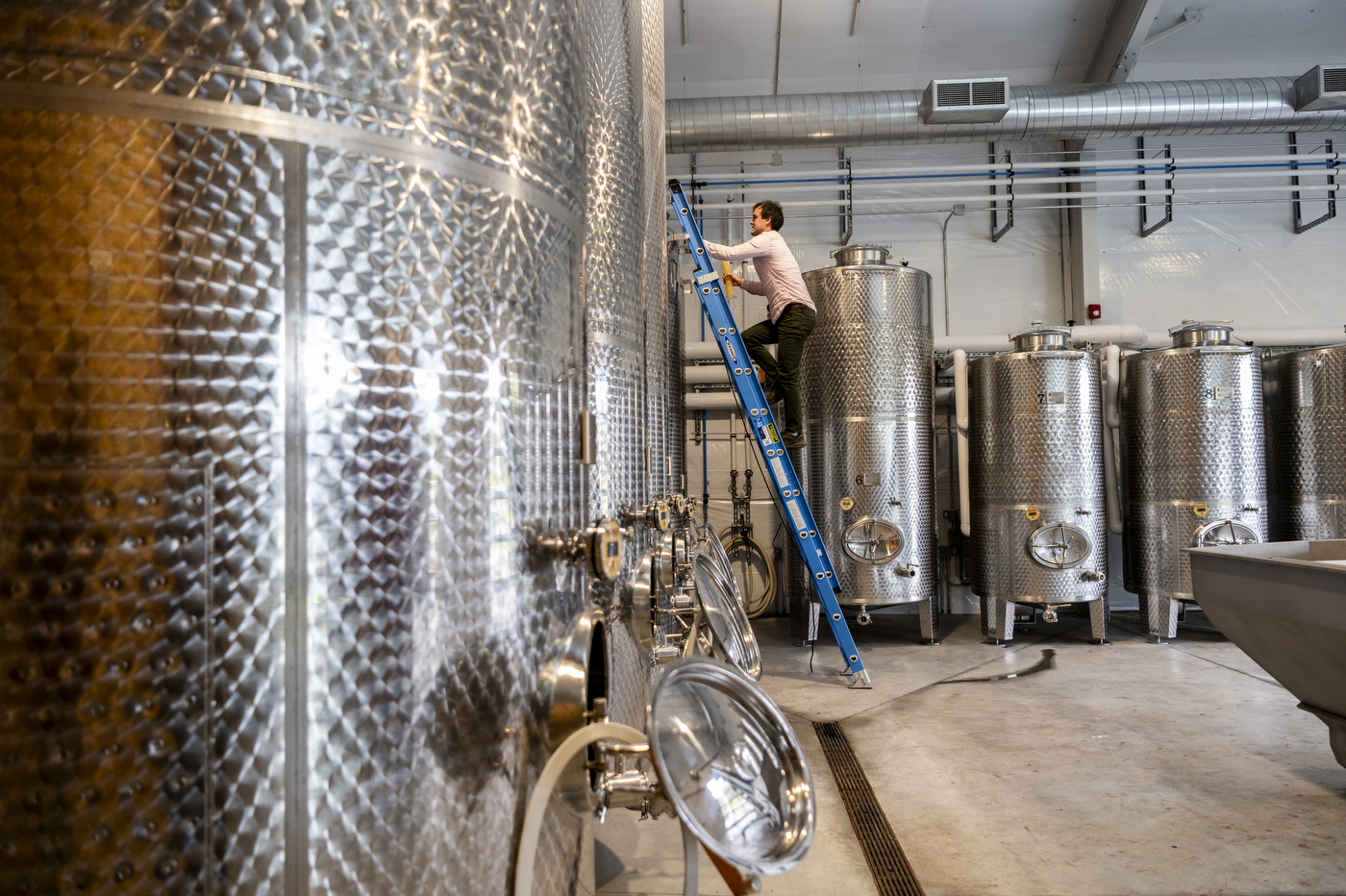 Bill Wilson climbing a ladder in the winery.