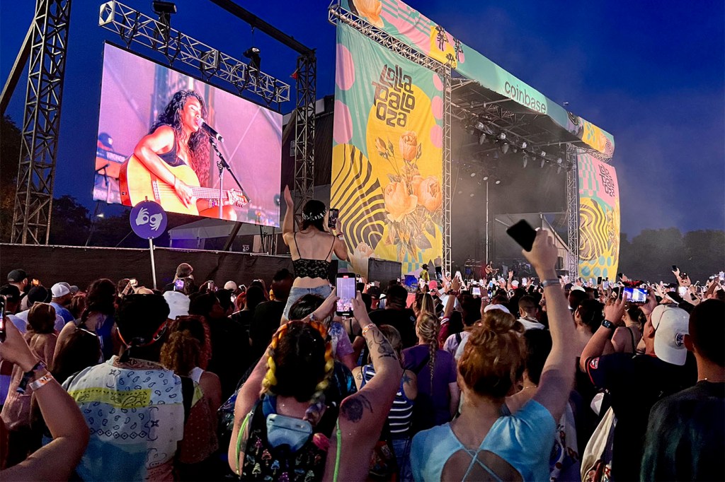 Audience members at a music festival.