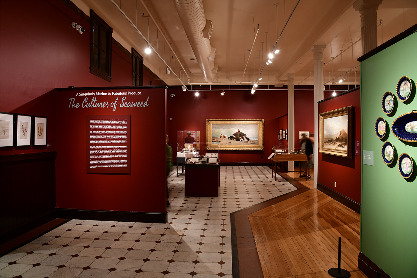 New Bedford Whaling Museum exhibit on The Cultures of Seaweed.