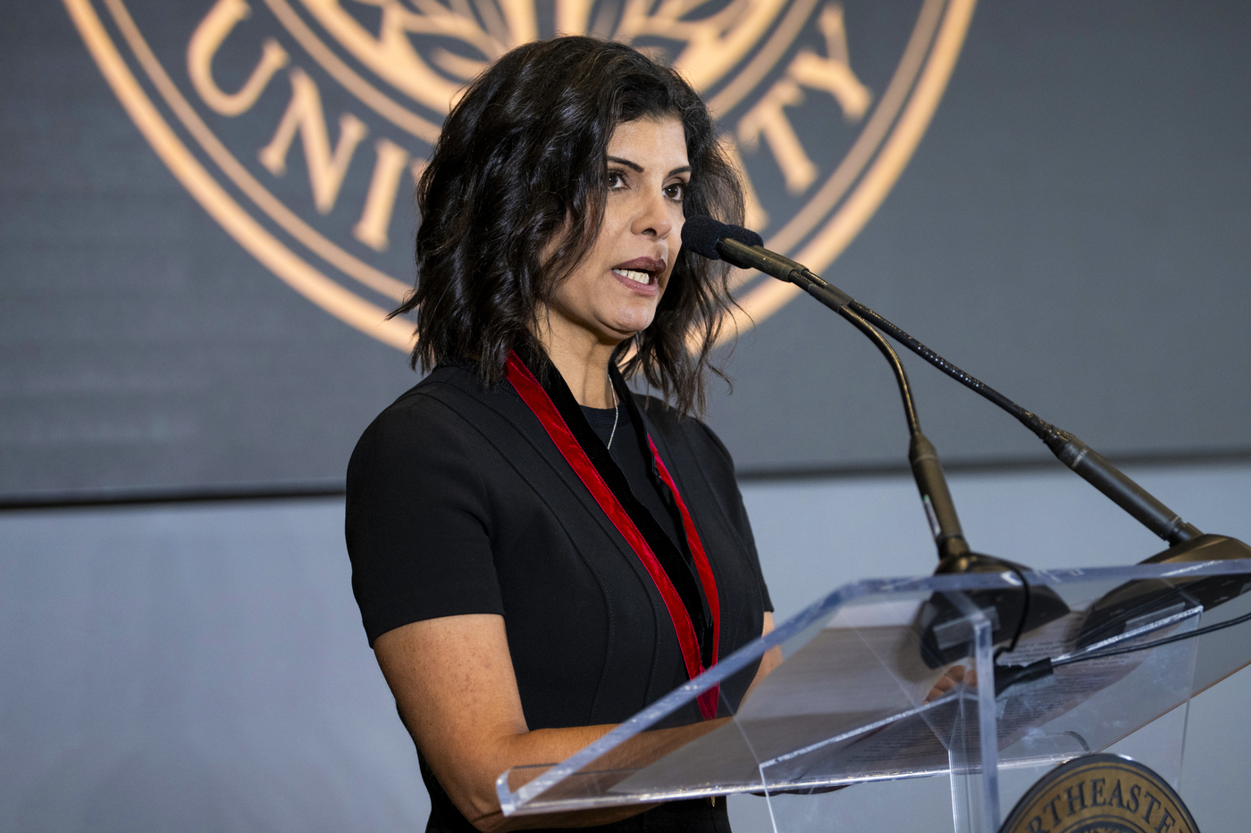 Head shot of Professor Tina Eliassi-Rad speaking as the first Joseph E. Aoun Professor.