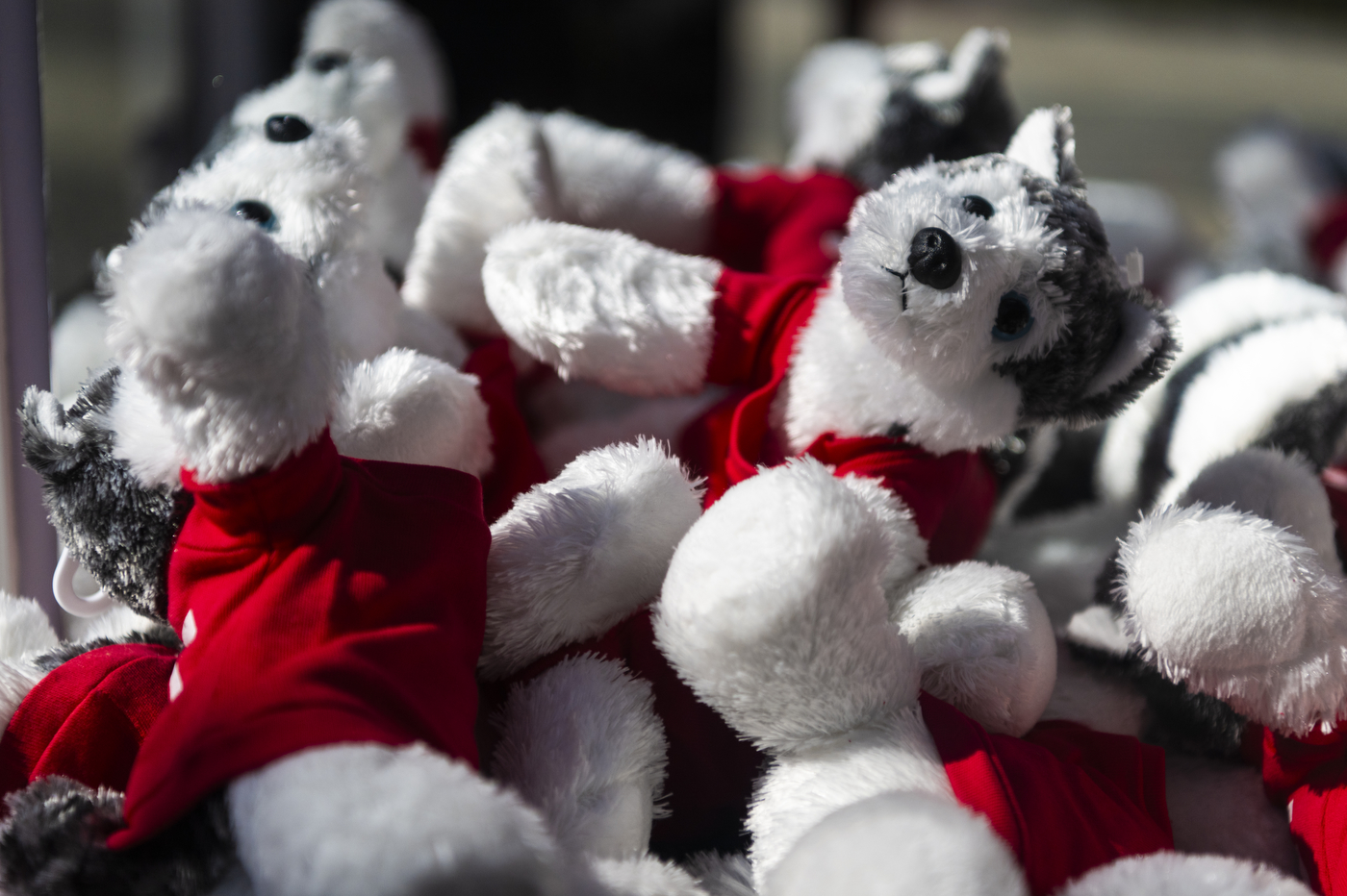 Stuffed huskies inside a claw machine.