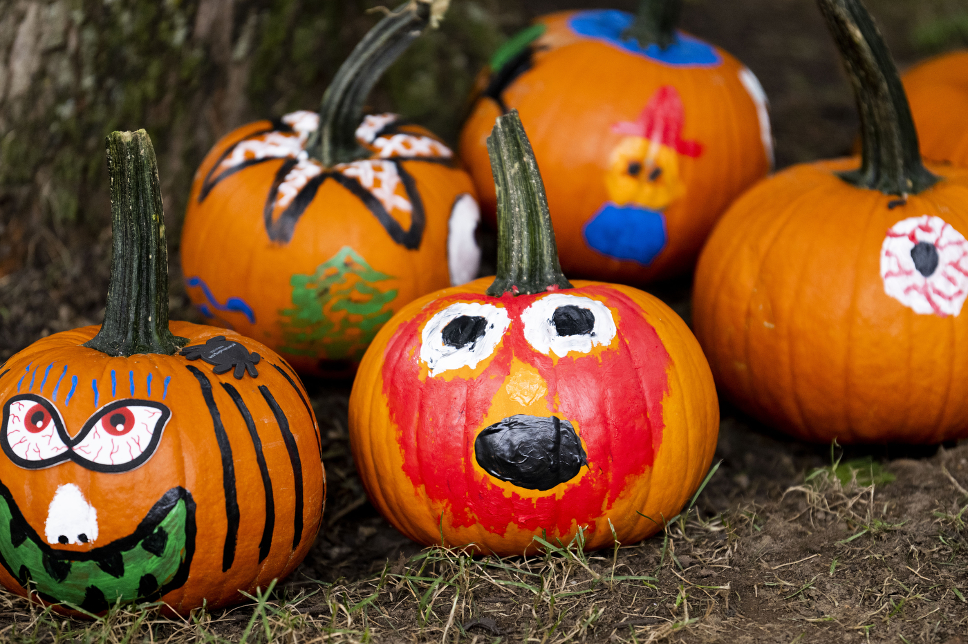 Painted pumpkins at Family and Friends weekend.