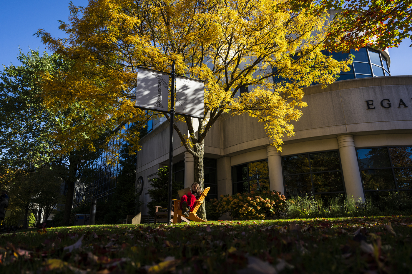 Taylie Kawakami studying outside Egan Hall.