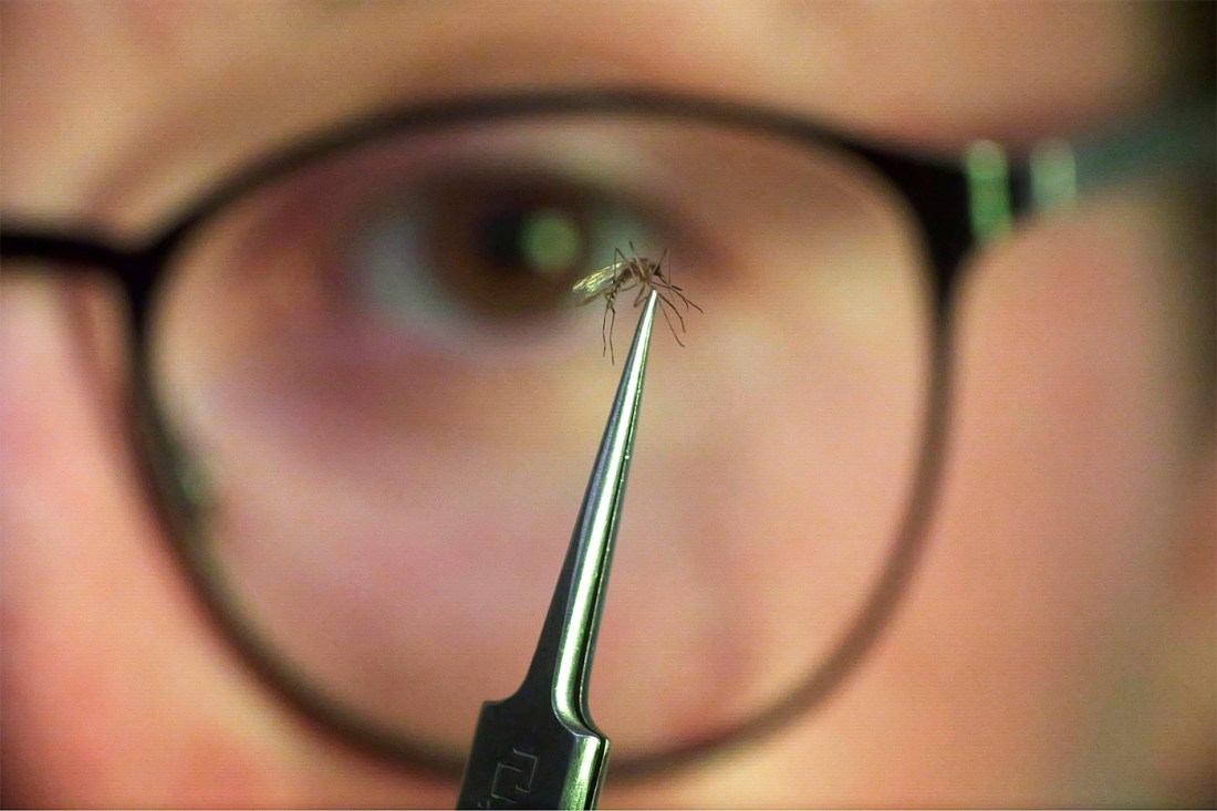 Ella Branham holding a mosquito up in front of her glasses to examine.